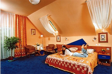 Šeiminis pensionas Poiana Braşov 5